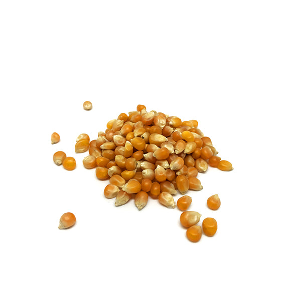 white butterfly popcorn