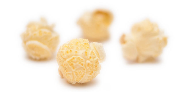 white popcorn kernels bulk